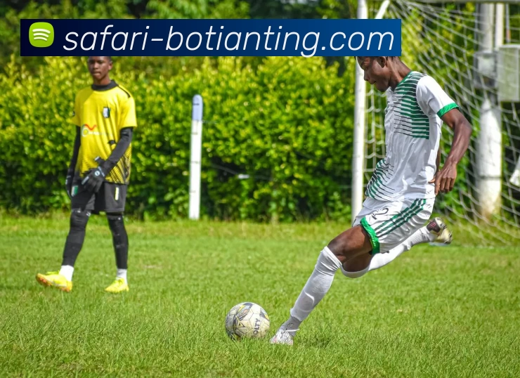 App Interface Preview