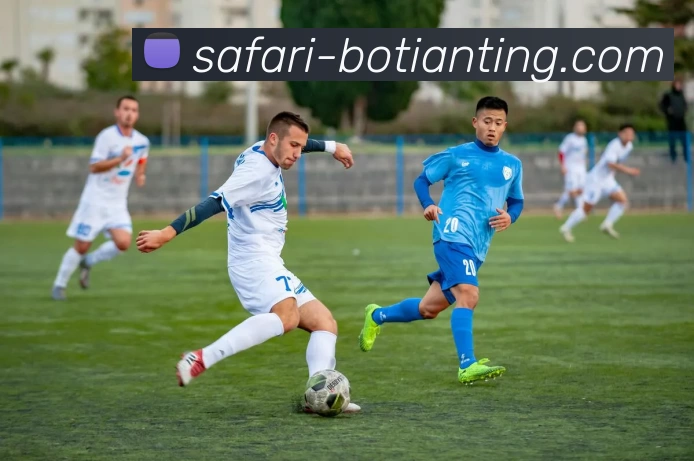 博天堂APP 封面图